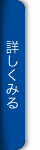 詳しくみる